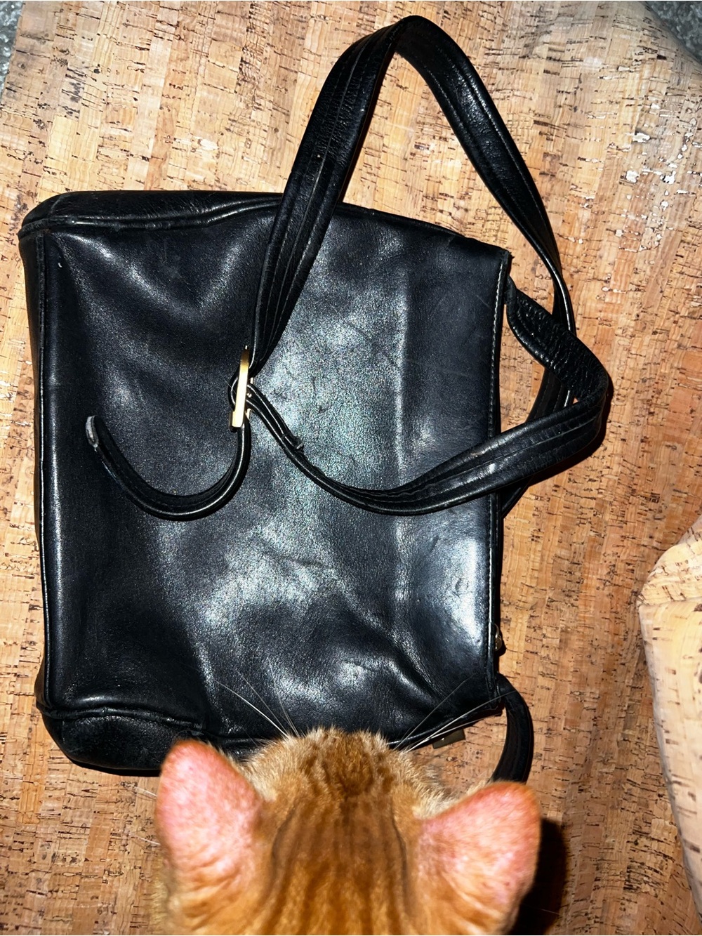 Classic Black Leather Tiganello Shoulder Bag with Gold Buckle
